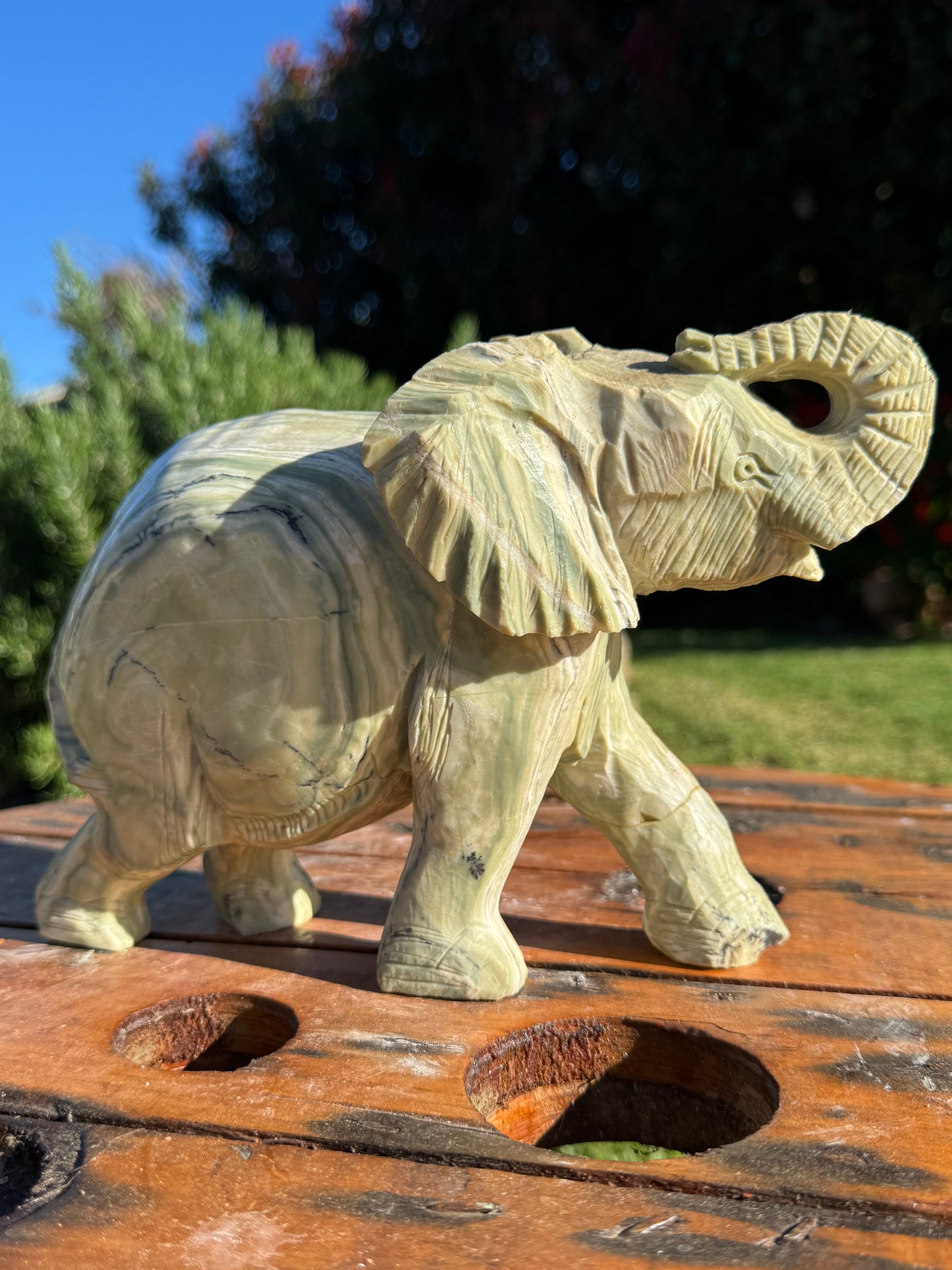 Elephant
