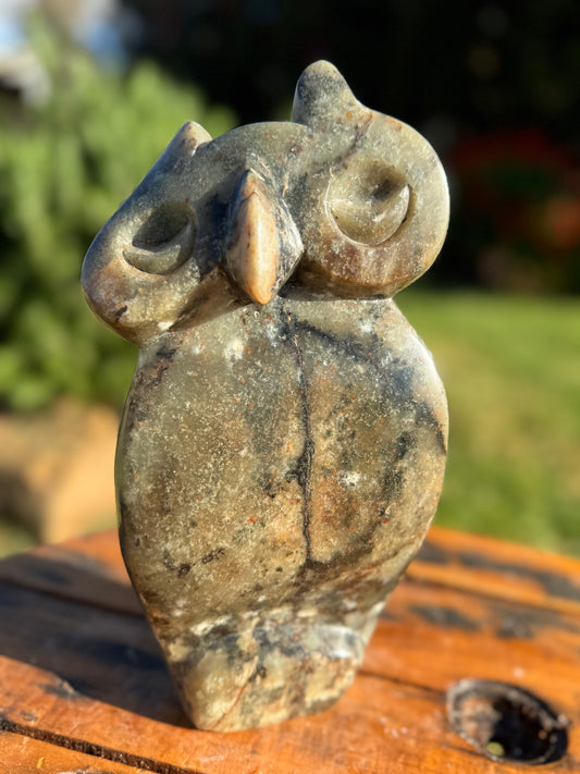 Owl