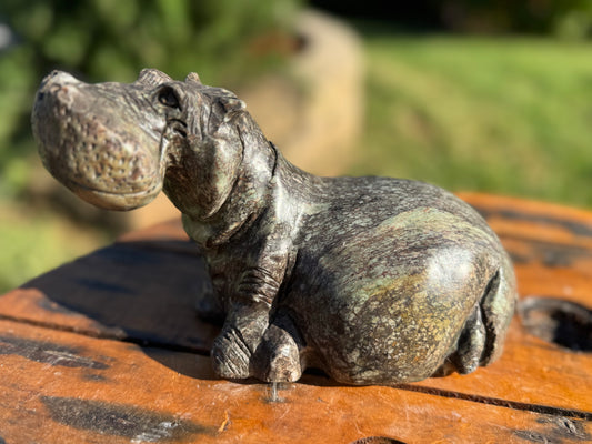 Hippo