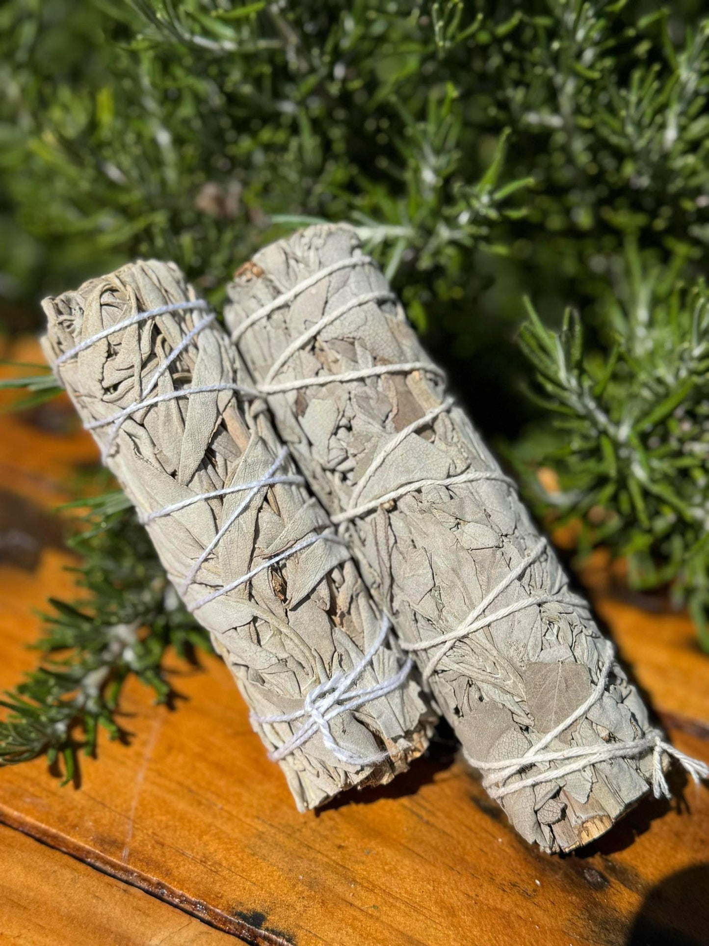 White Sage Stick (Small 11cm)